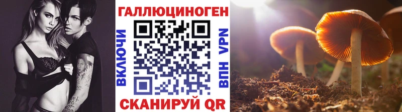 Псилоцибиновые грибы Psilocybe  купить наркотик  Армянск 